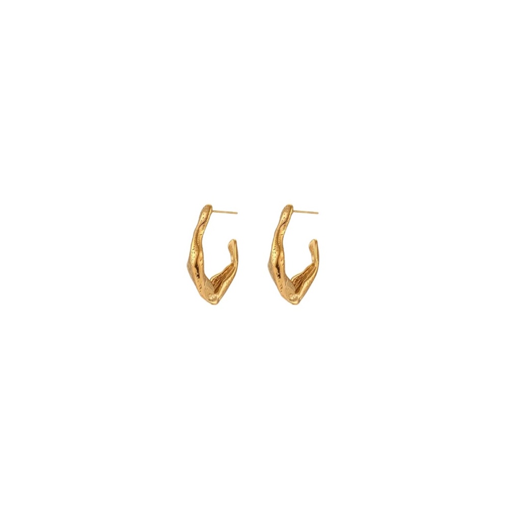 Gold Earrings.